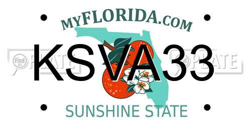 KSVA33 Florida License Plate