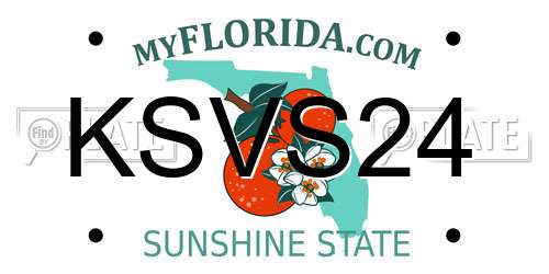 KSVS24 Florida License Plate