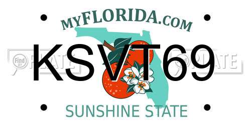 KSVT69 Florida License Plate