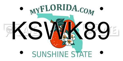 KSWK89 Florida License Plate
