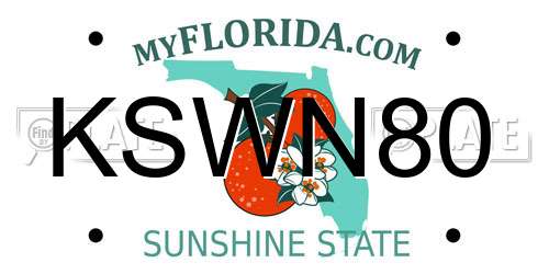 KSWN80 Florida License Plate