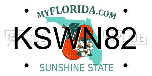 KSWN82 Florida License Plate