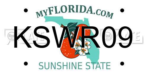 KSWR09 Florida License Plate