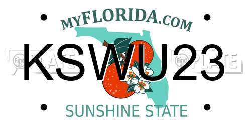 KSWU23 Florida License Plate