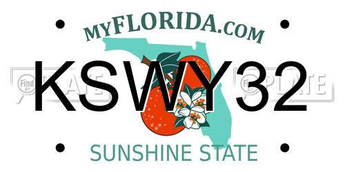KSWY32 Florida License Plate