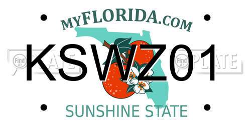 KSWZ01 Florida License Plate