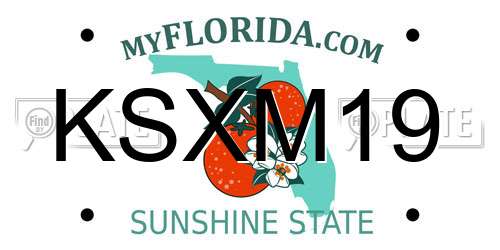 KSXM19 Florida License Plate