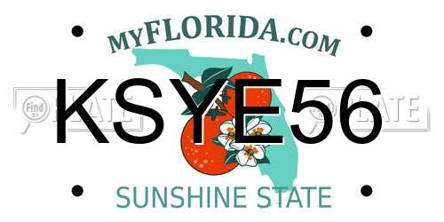 KSYE56 Florida License Plate