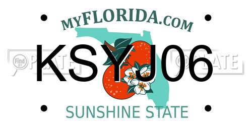 KSYJ06 Florida License Plate