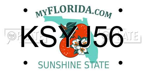 KSYJ56 Florida License Plate