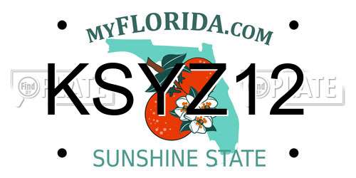 KSYZ12 Florida License Plate