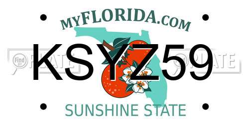 KSYZ59 Florida License Plate