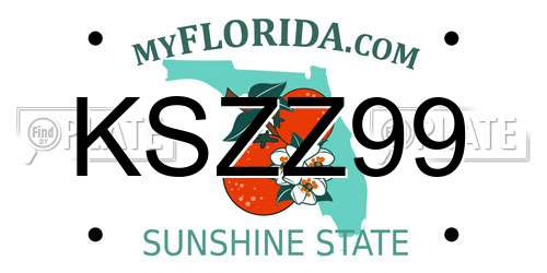 KSZZ99 Florida License Plate