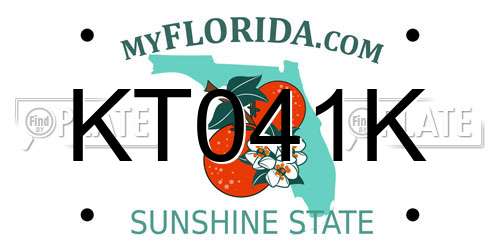 KT041K Florida License Plate