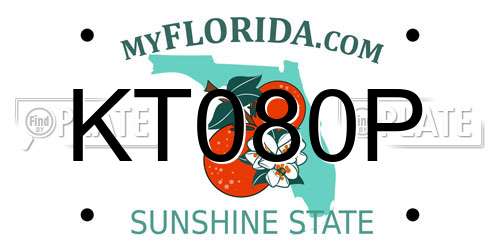 KT080P Florida License Plate
