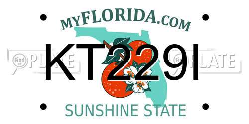 KT229I Florida License Plate