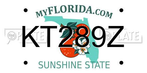 KT289Z Florida License Plate