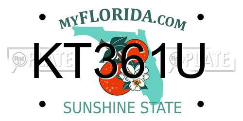 KT361U Florida License Plate