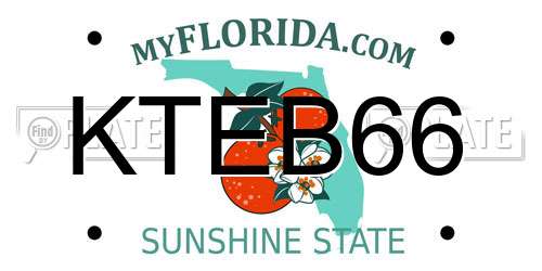 KTEB66 Florida License Plate