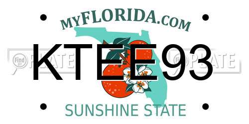 KTEE93 Florida License Plate