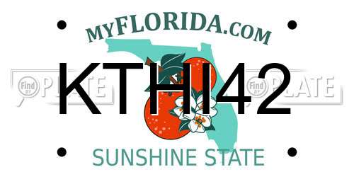 KTHI42 Florida License Plate