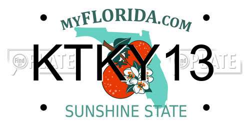 KTKY13 Florida License Plate