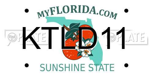 KTLD11 Florida License Plate