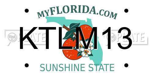 KTLM13 Florida License Plate