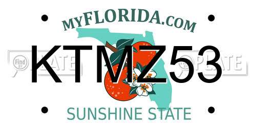 KTMZ53 Florida License Plate