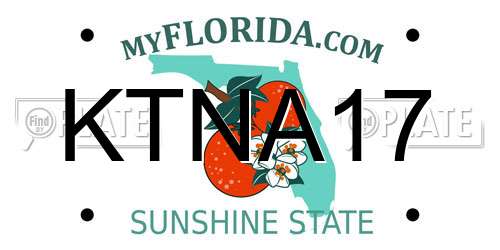 KTNA17 Florida License Plate
