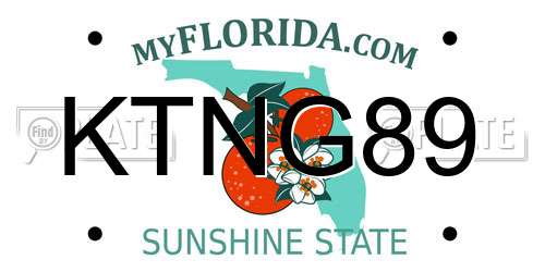 KTNG89 Florida License Plate