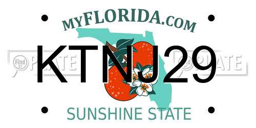 KTNJ29 Florida License Plate