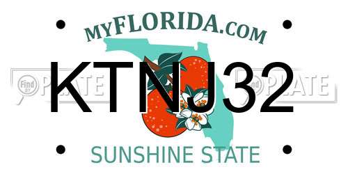 KTNJ32 Florida License Plate