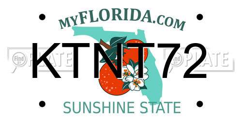 KTNT72 Florida License Plate