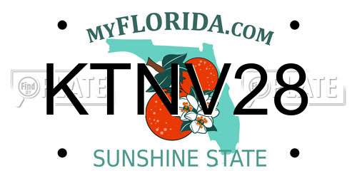 KTNV28 Florida License Plate