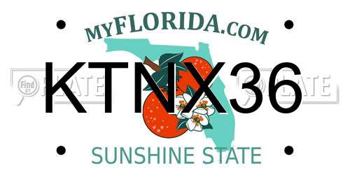 KTNX36 Florida License Plate