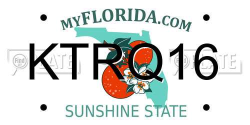 KTRQ16 Florida License Plate