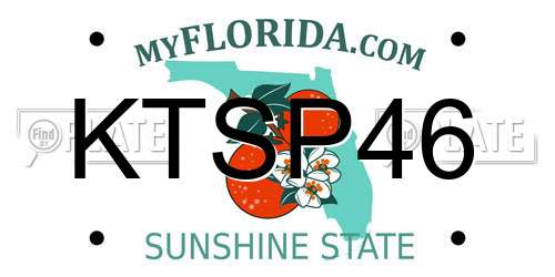 KTSP46 Florida License Plate