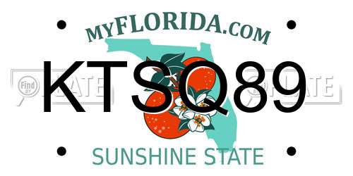 KTSQ89 Florida License Plate