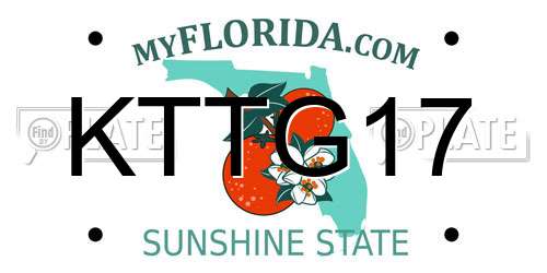 KTTG17 Florida License Plate