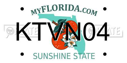 KTVN04 Florida License Plate