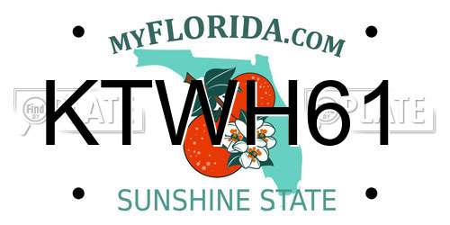 KTWH61 Florida License Plate