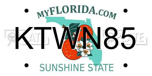 KTWN85 Florida License Plate