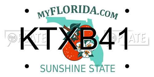 KTXB41 Florida License Plate