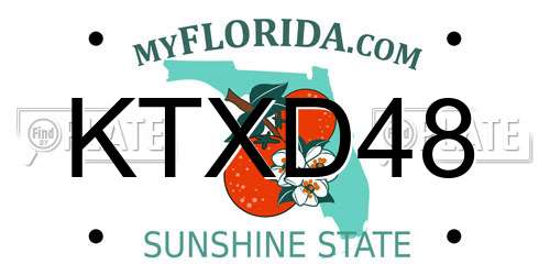 KTXD48 Florida License Plate
