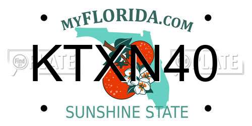 KTXN40 Florida License Plate