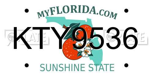 KTY9536 Florida License Plate