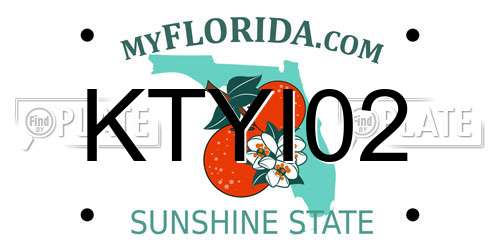KTYI02 Florida License Plate