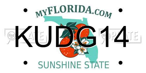 KUDG14 Florida License Plate