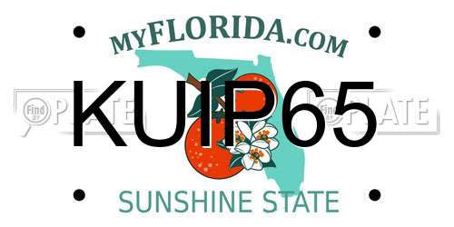 KUIP65 Florida License Plate